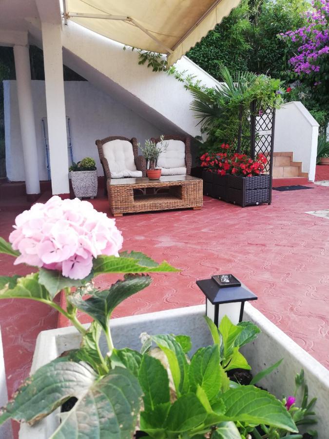 Apartments Poretti For 2,In Center Parking Free In The Yard,6 Min Beach Walk Rovinj Exteriör bild
