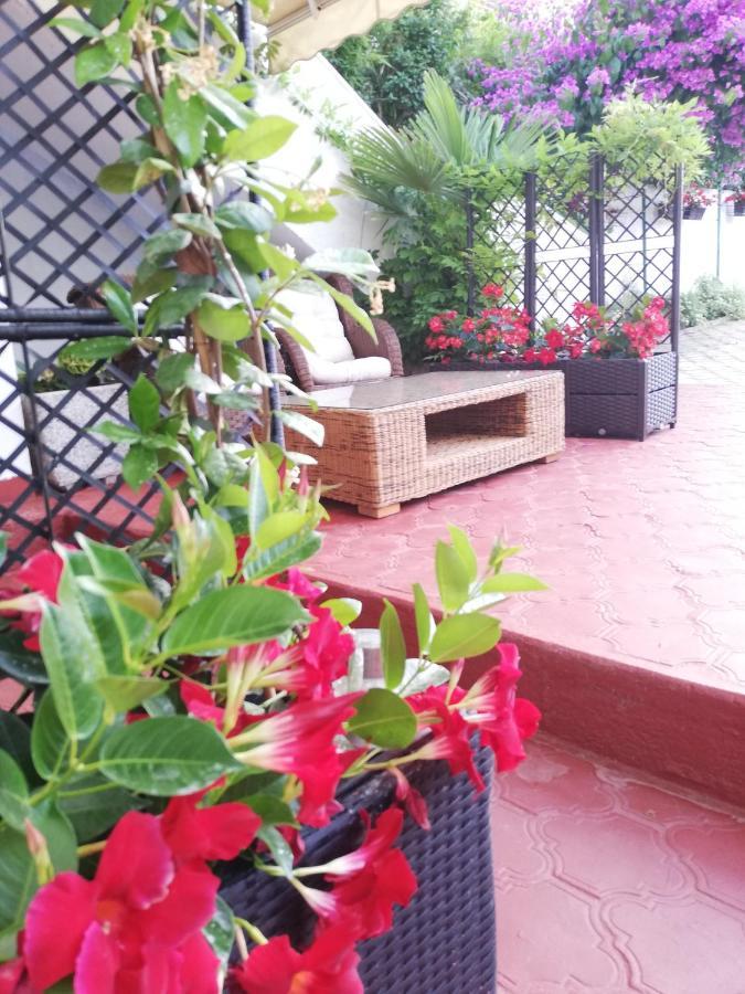 Apartments Poretti For 2,In Center Parking Free In The Yard,6 Min Beach Walk Rovinj Exteriör bild