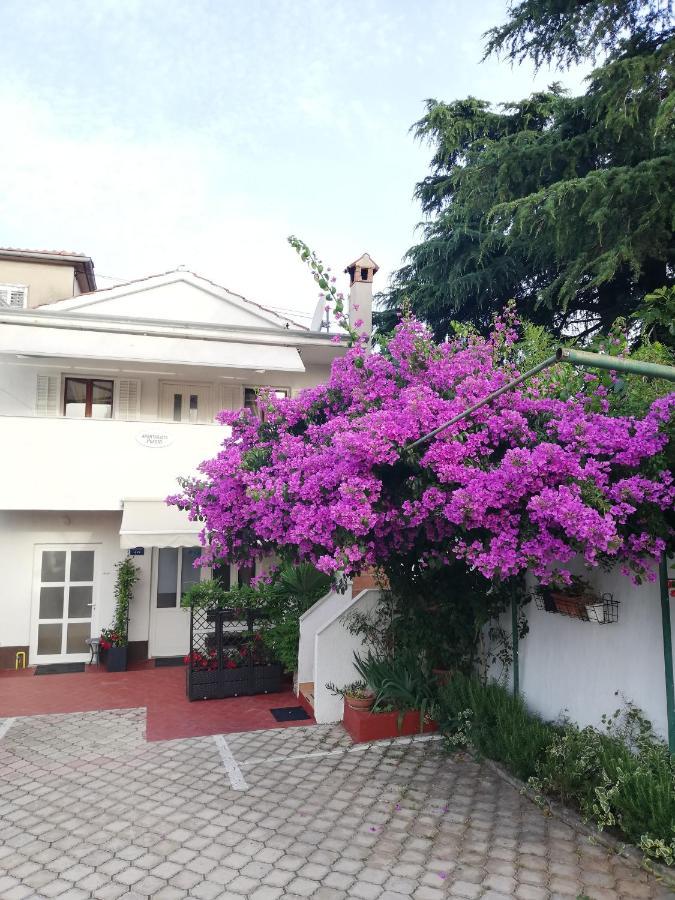Apartments Poretti For 2,In Center Parking Free In The Yard,6 Min Beach Walk Rovinj Exteriör bild