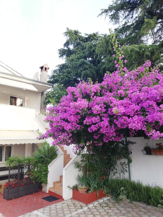 Apartments Poretti For 2,In Center Parking Free In The Yard,6 Min Beach Walk Rovinj Exteriör bild