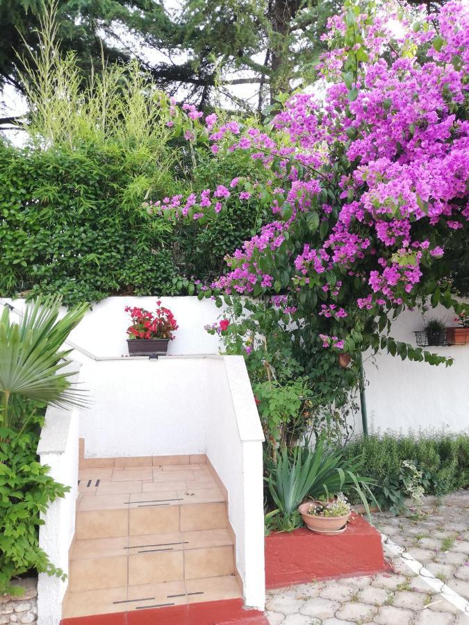 Apartments Poretti For 2,In Center Parking Free In The Yard,6 Min Beach Walk Rovinj Exteriör bild