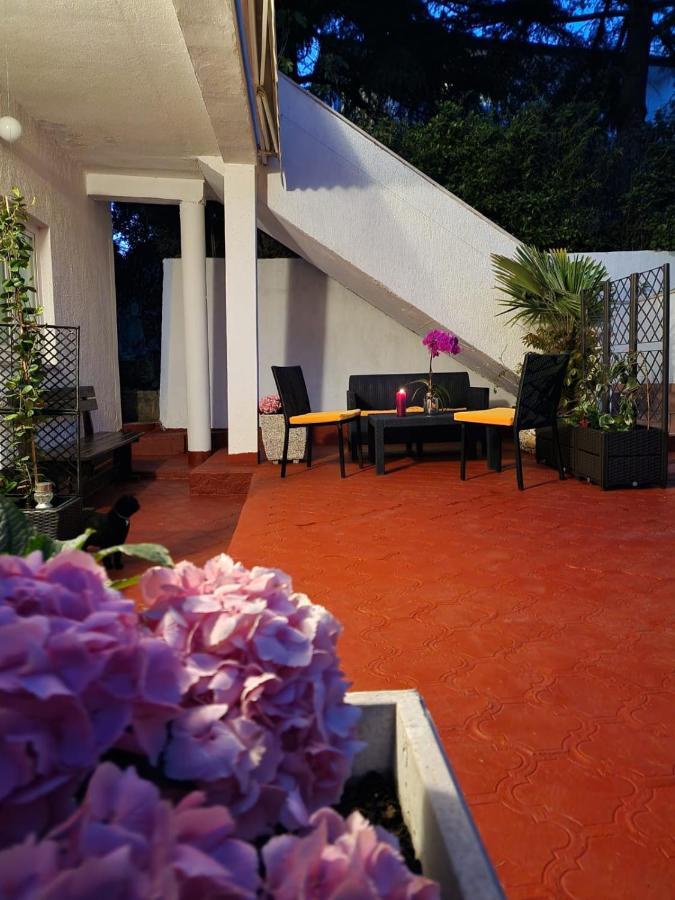 Apartments Poretti For 2,In Center Parking Free In The Yard,6 Min Beach Walk Rovinj Exteriör bild