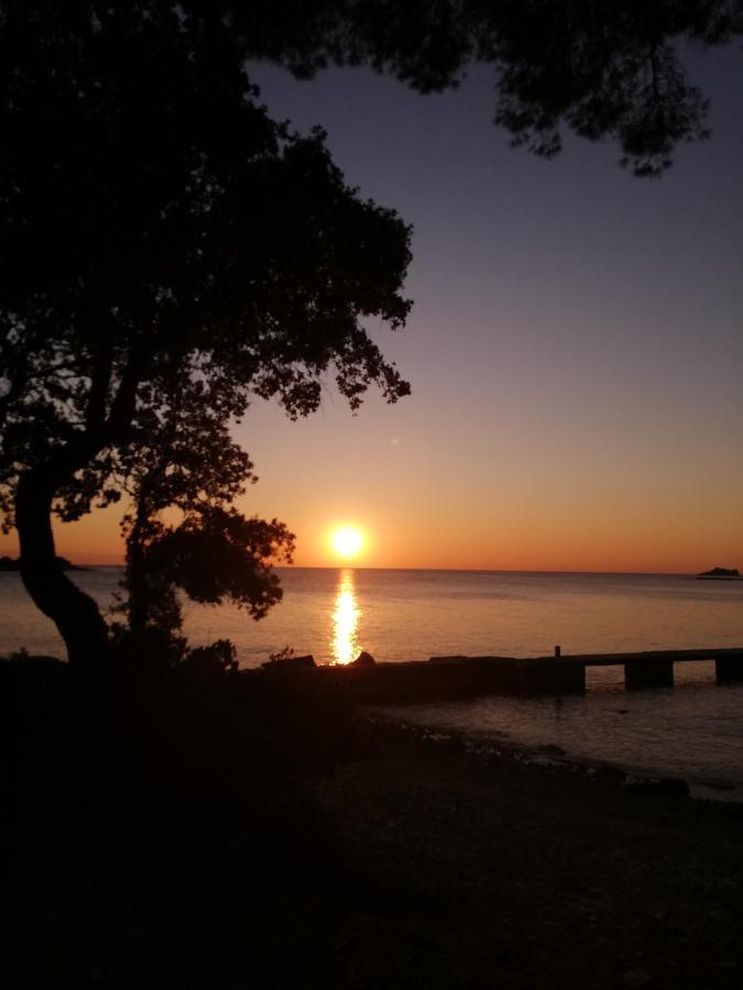 Apartments Poretti For 2,In Center Parking Free In The Yard,6 Min Beach Walk Rovinj Exteriör bild