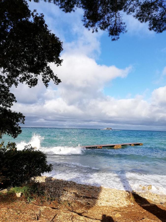 Apartments Poretti For 2,In Center Parking Free In The Yard,6 Min Beach Walk Rovinj Exteriör bild