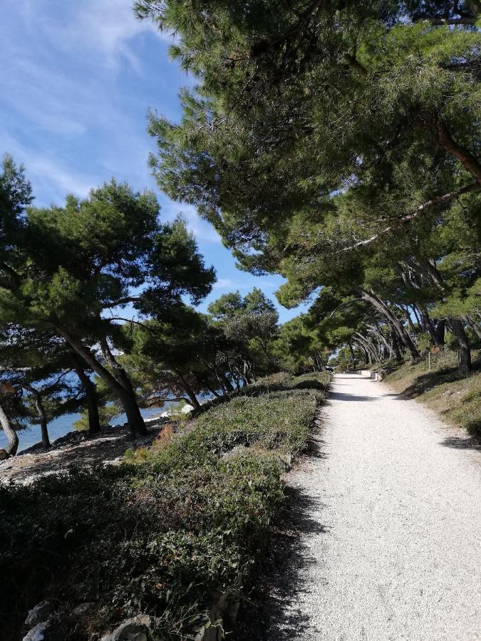 Apartments Poretti For 2,In Center Parking Free In The Yard,6 Min Beach Walk Rovinj Exteriör bild