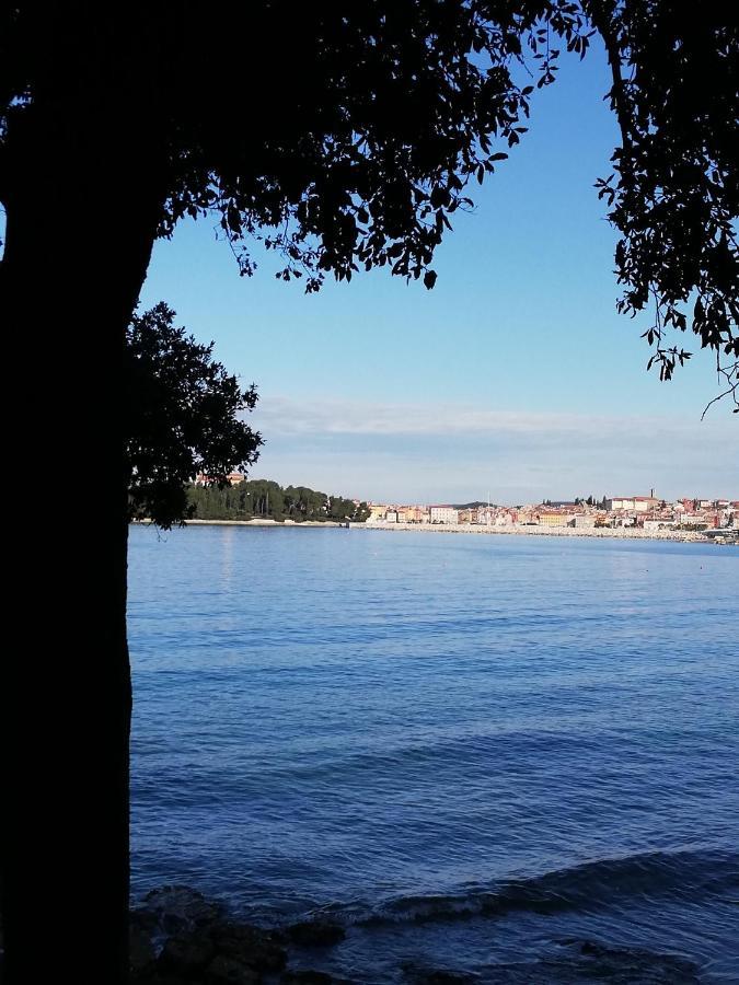 Apartments Poretti For 2,In Center Parking Free In The Yard,6 Min Beach Walk Rovinj Exteriör bild