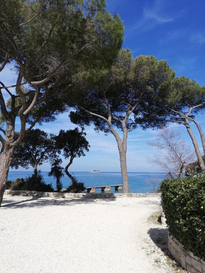 Apartments Poretti For 2,In Center Parking Free In The Yard,6 Min Beach Walk Rovinj Exteriör bild