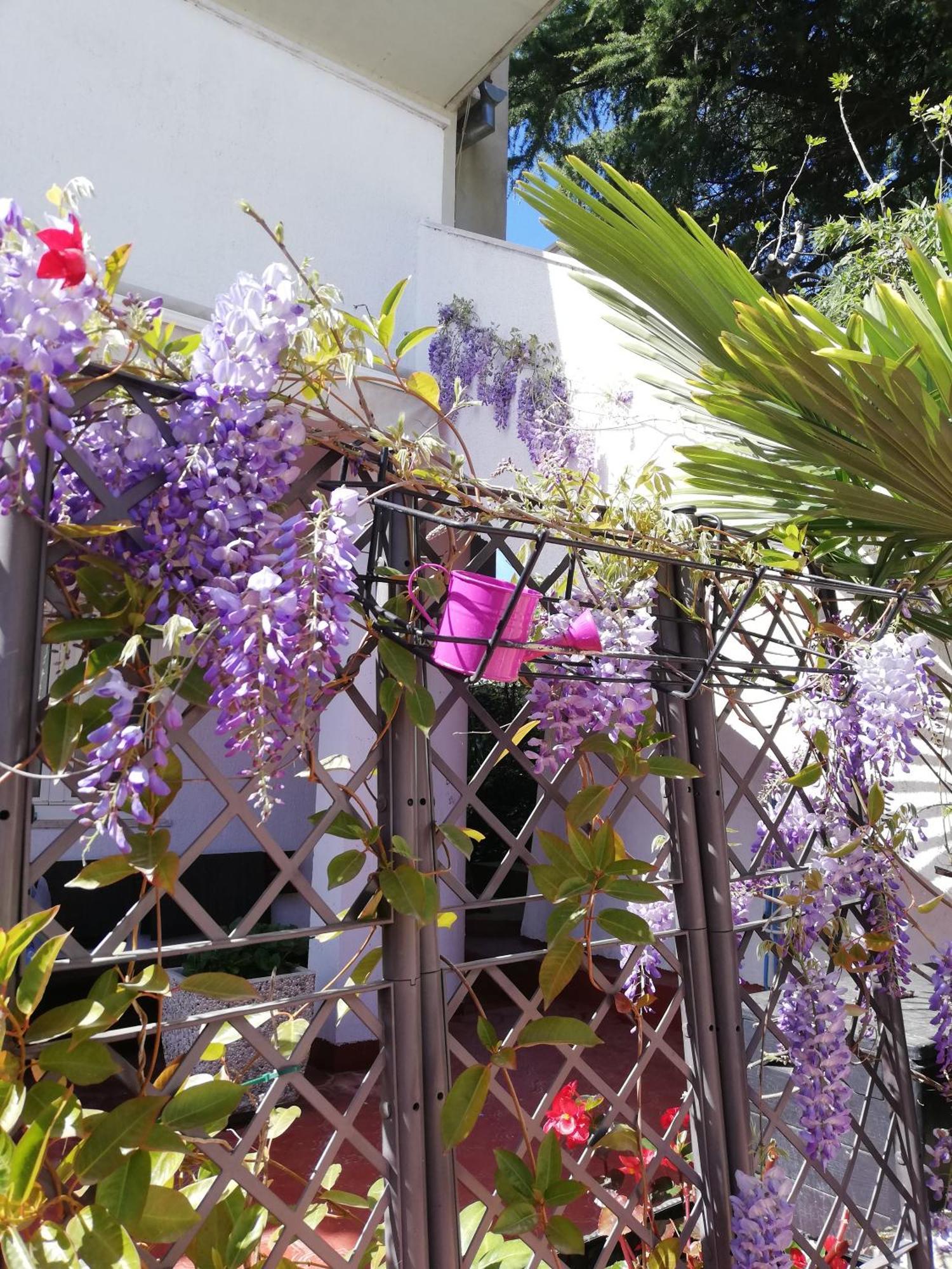 Apartments Poretti For 2,In Center Parking Free In The Yard,6 Min Beach Walk Rovinj Exteriör bild