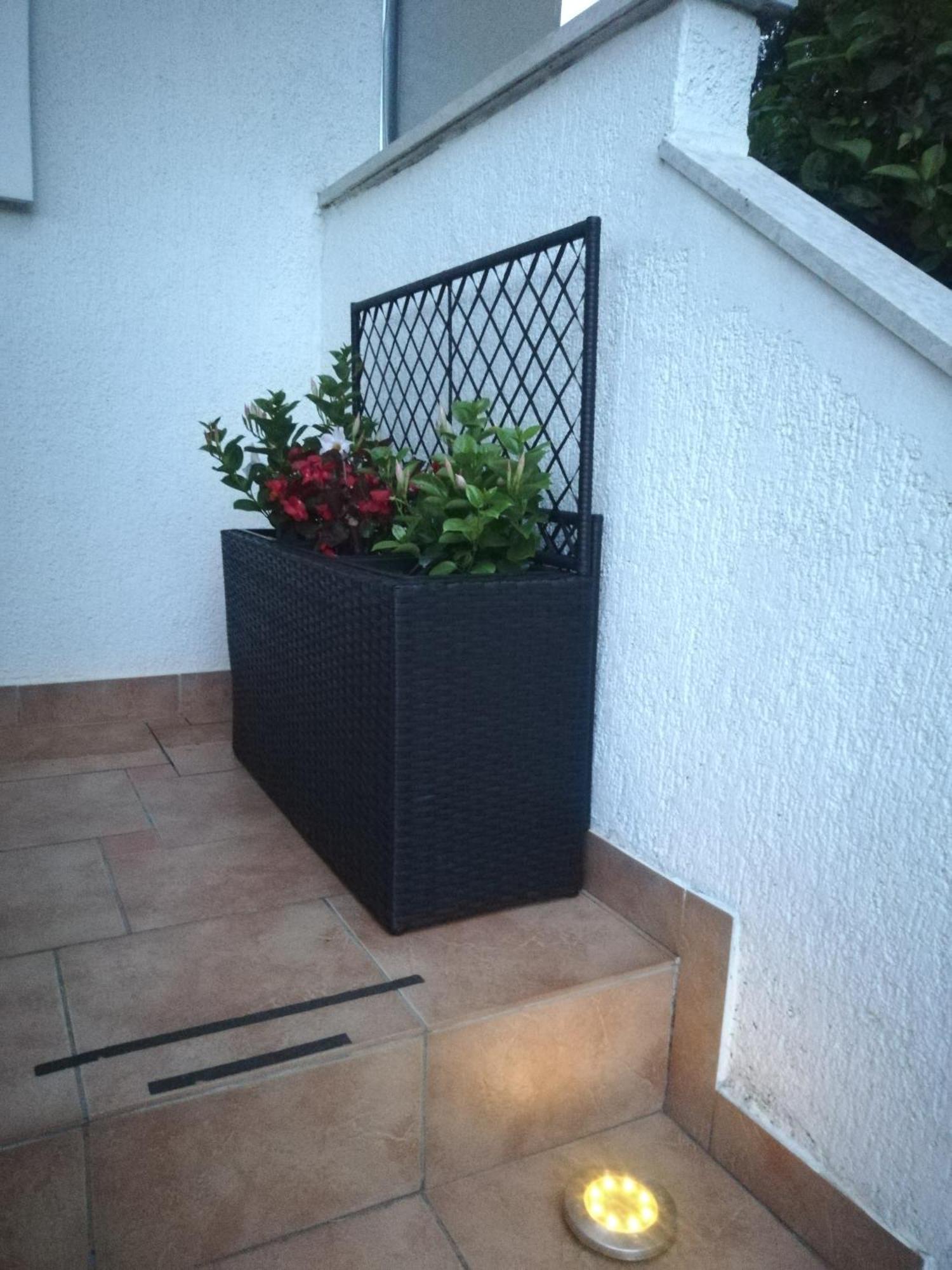 Apartments Poretti For 2,In Center Parking Free In The Yard,6 Min Beach Walk Rovinj Exteriör bild
