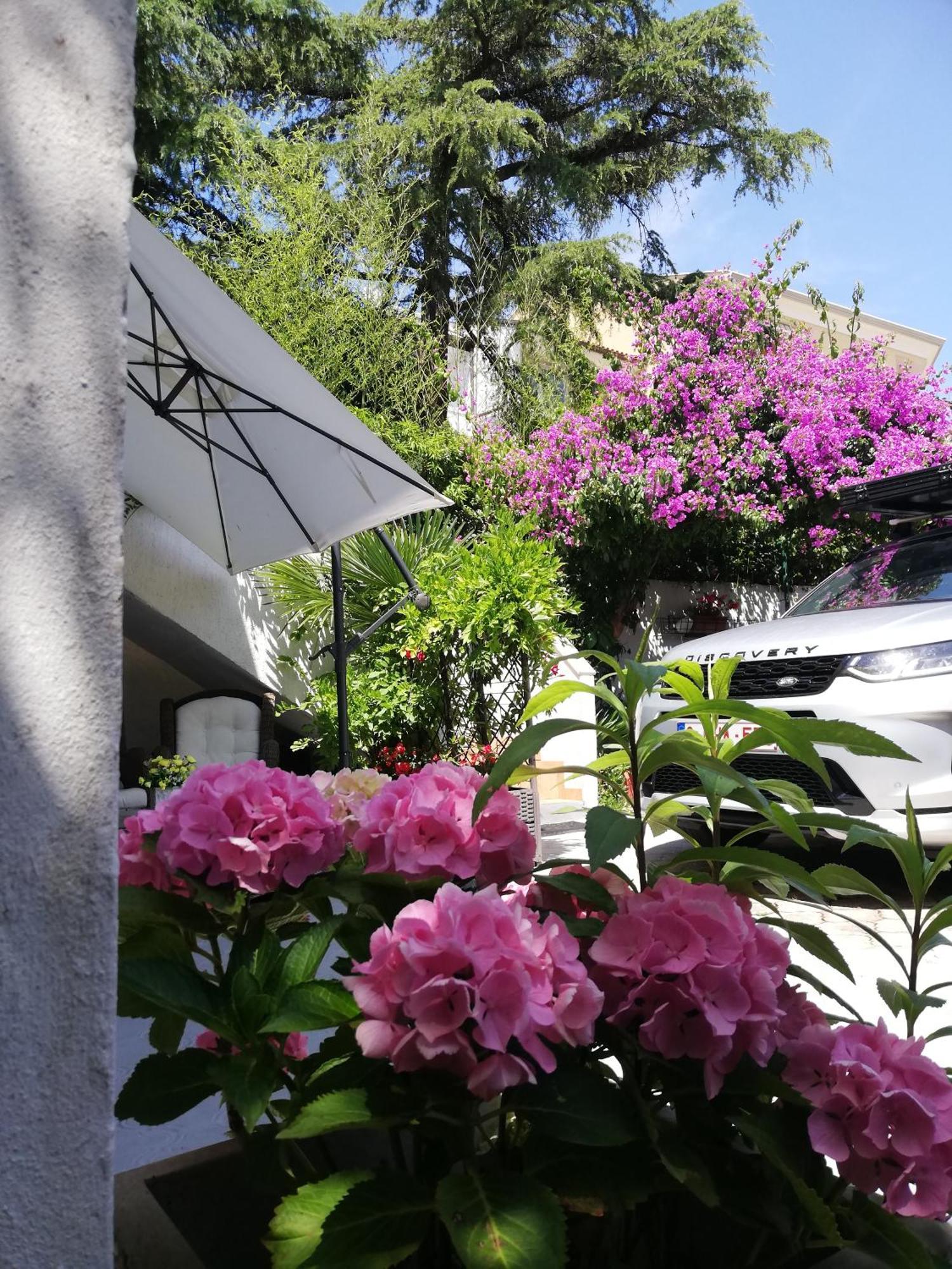 Apartments Poretti For 2,In Center Parking Free In The Yard,6 Min Beach Walk Rovinj Exteriör bild