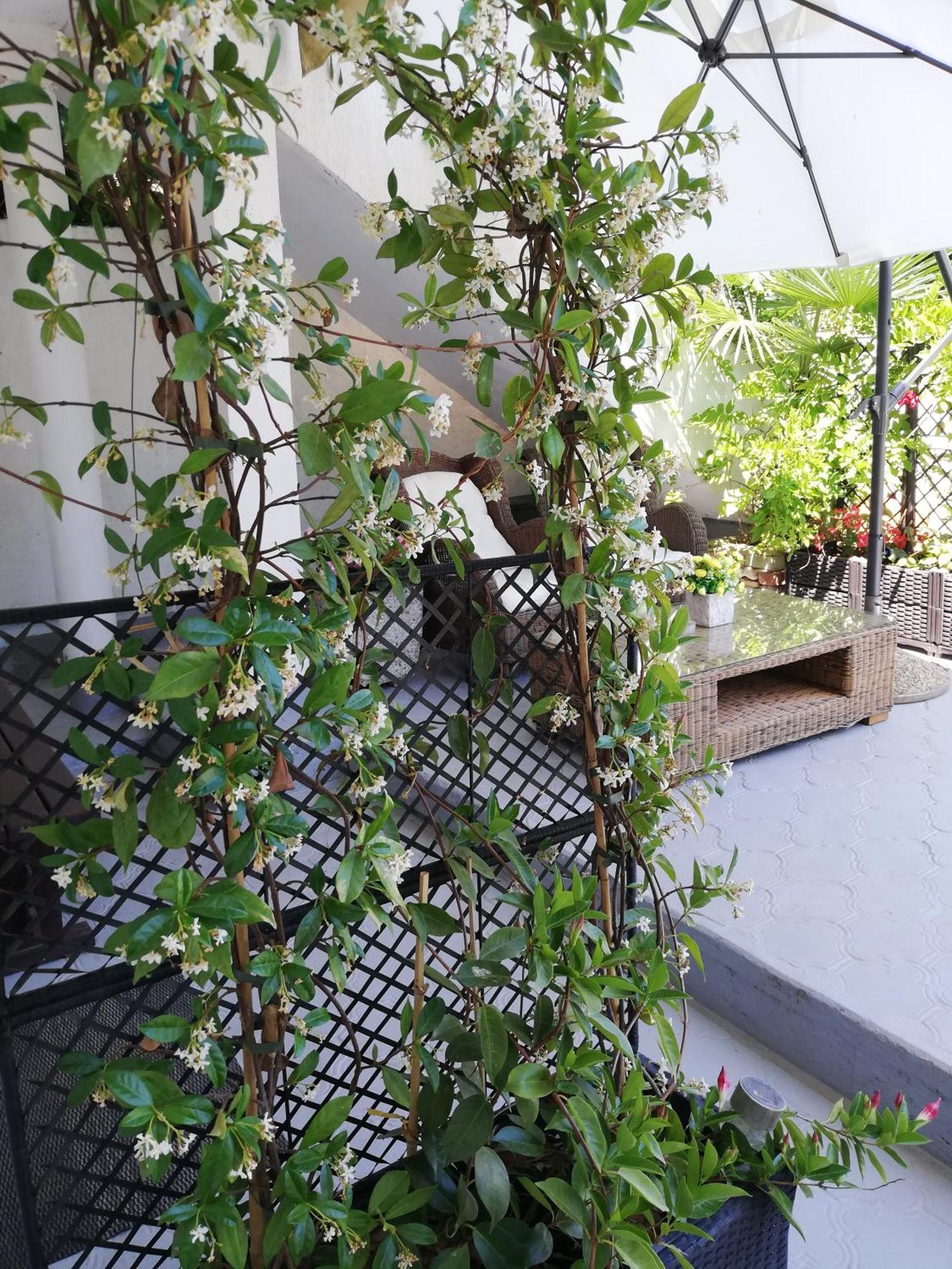Apartments Poretti For 2,In Center Parking Free In The Yard,6 Min Beach Walk Rovinj Rum bild