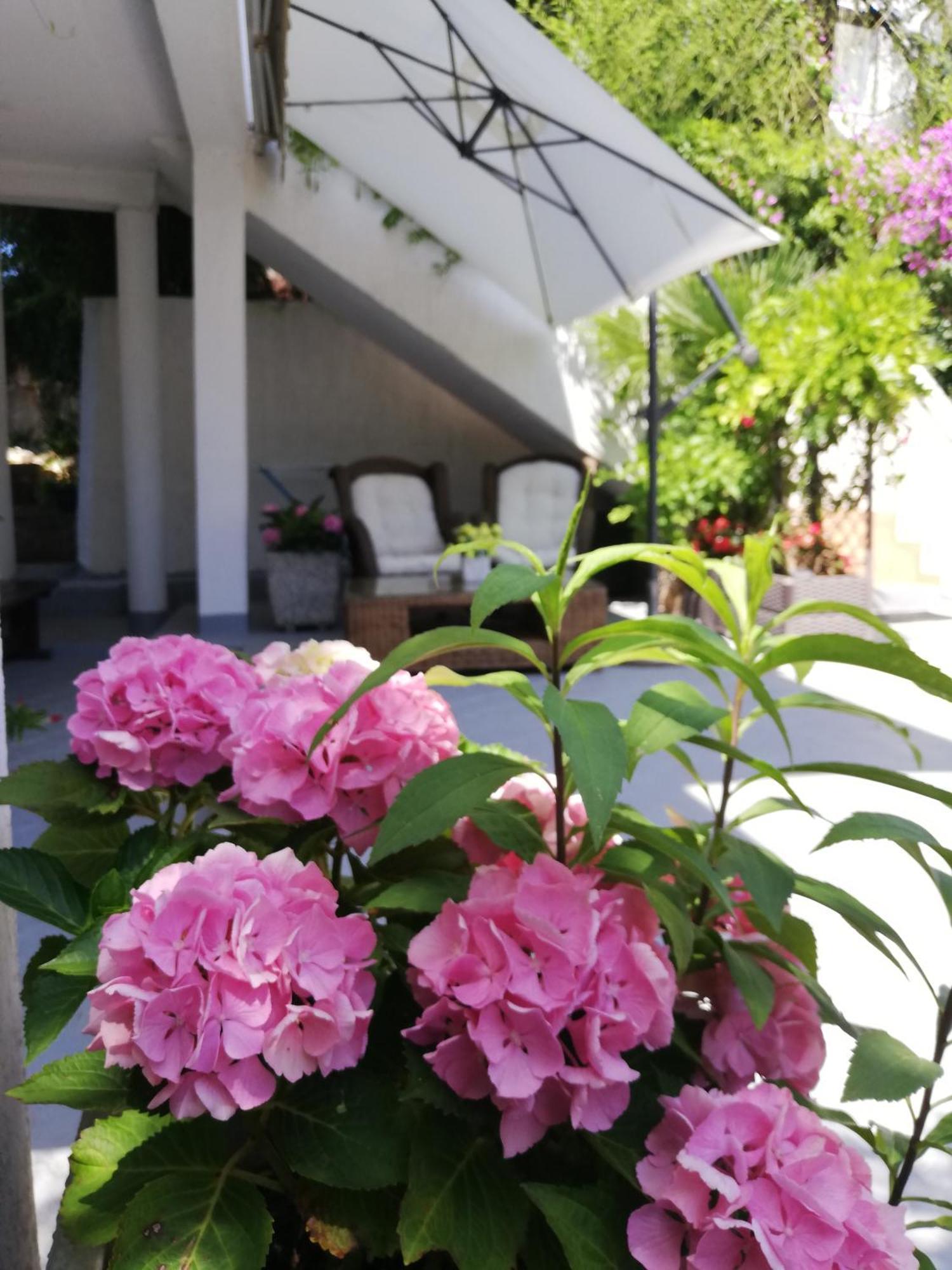 Apartments Poretti For 2,In Center Parking Free In The Yard,6 Min Beach Walk Rovinj Exteriör bild